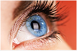Retina