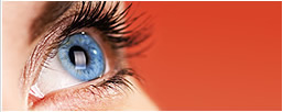 Retina