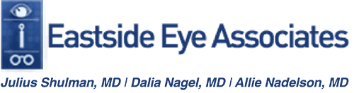 Eastside Eye Associates Logo